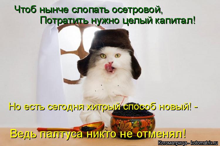 Чтоб нынче слопать осетровой, Потратить нужно целый капитал! Но есть сегодня хитрый способ новый! - В... Котоматрица: Чтоб нынче слопать осетровой, Потратить нужно целый капитал! Но есть сегодня хитрый способ новый! - Ведь палтуса никто не отменял!