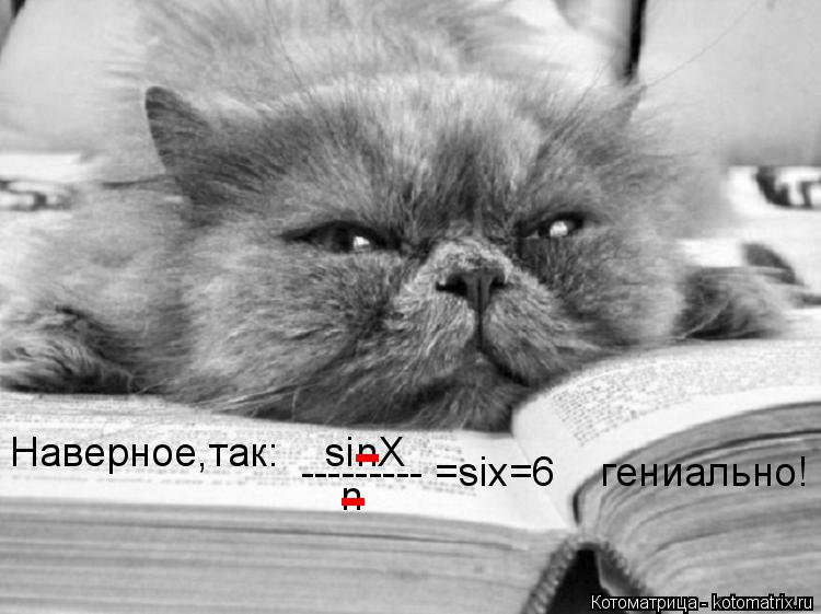 Котоматрица: Наверное,так:    sinX --------- =six=6    гениально! n - -