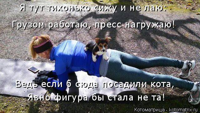 Явно фигура бы стала не та! Я тут тихонько сижу и не лаю: Грузом работаю, пресс нагружаю! Ведь если б... Котоматрица: Явно фигура бы стала не та! Я тут тихонько сижу и не лаю: Грузом работаю, пресс нагружаю! Ведь если б сюда посадили кота,