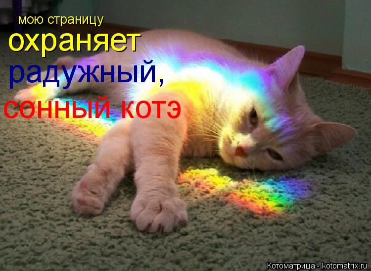 мою страницу охраняет радужный, сонный котэ... Котоматрица: мою страницу охраняет радужный, сонный котэ