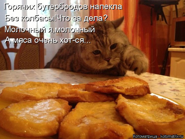 Горячих бутербродов напекла Без колбасы!Что за дела? Молочный я,молочный А мяса очень хот-ся...... Котоматрица: Горячих бутербродов напекла Без колбасы!Что за дела? Молочный я,молочный А мяса очень хот-ся...