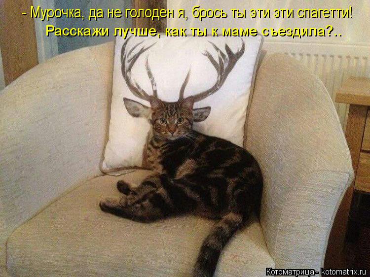 - Мурочка, да не голоден я, брось ты эти эти спагетти! Расскажи лучше, как ты к маме съездила?..... Котоматрица: - Мурочка, да не голоден я, брось ты эти эти спагетти! Расскажи лучше, как ты к маме съездила?..