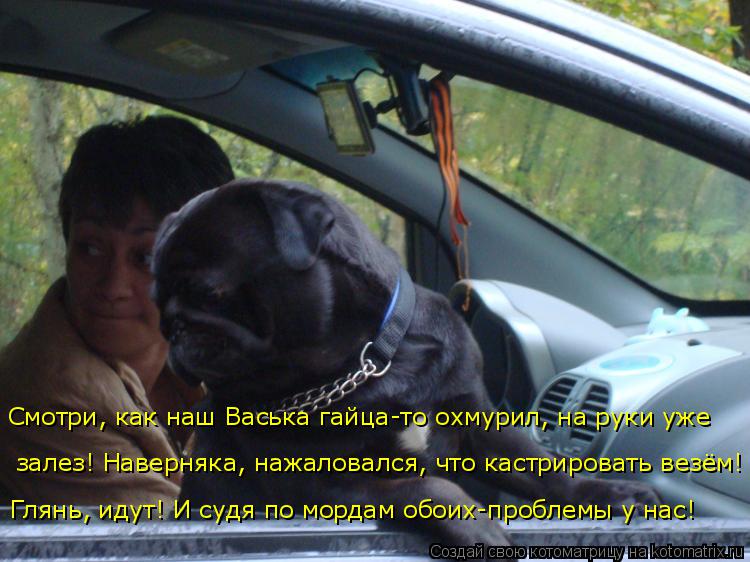 Котоматрица: Смотри, как наш Васька гайца-то охмурил, на руки уже  залез! Наверняка, нажаловался, что кастрировать везём!  Глянь, идут! И судя по мордам обо