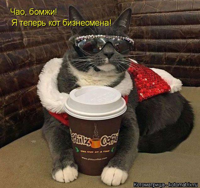 Котоматрица: Чао, бомжи! Я теперь кот бизнесмена!
