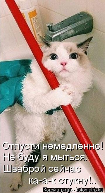 Котоматрица: Отпусти немедленно! Не буду я мыться. Шваброй сейчас ка-а-к стукну!..