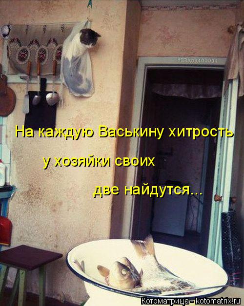 две найдутся... На каждую Васькину хитрость у хозяйки своих... Котоматрица: две найдутся... На каждую Васькину хитрость у хозяйки своих