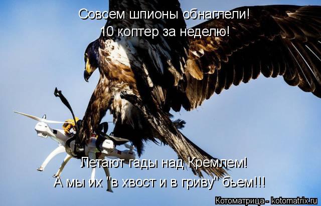 Котоматрица: Совсем шпионы обнаглели! 10 коптер за неделю! Летают гады над Кремлем! А мы их "в хвост и в гриву" бьем!!!