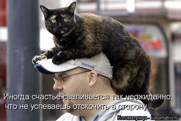 Котоматрица: Иногда счастье сваливается так неожиданно, что не успеваешь отскочить в сторону.