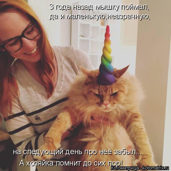 3 года назад мышку поймал, да и маленькую,невзрачную, на следующий день про неё забыл... А хозяйка по... Котоматрица: 3 года назад мышку поймал, да и маленькую,невзрачную, на следующий день про неё забыл... А хозяйка помнит до сих пор!