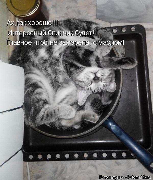 Котоматрица: Ах,как хорошо!!! Интересный блинчик будет! Главное чтоб не зажарела, с маслом!