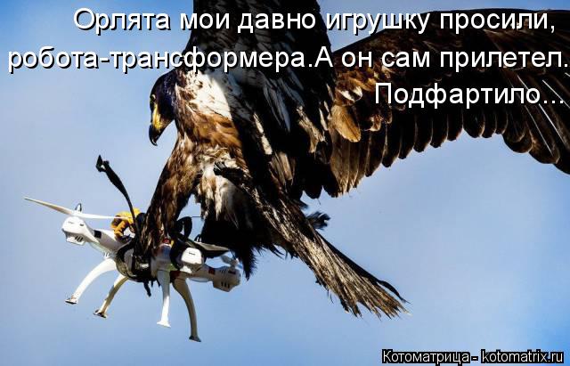 Котоматрица: Орлята мои давно игрушку просили, робота-трансформера.А он сам прилетел. Подфартило...