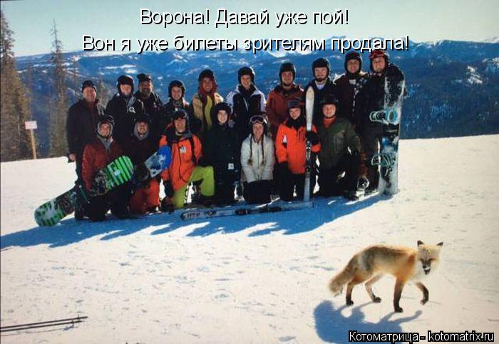 Котоматрица: Ворона! Давай уже пой! Вон я уже билеты зрителям продала!