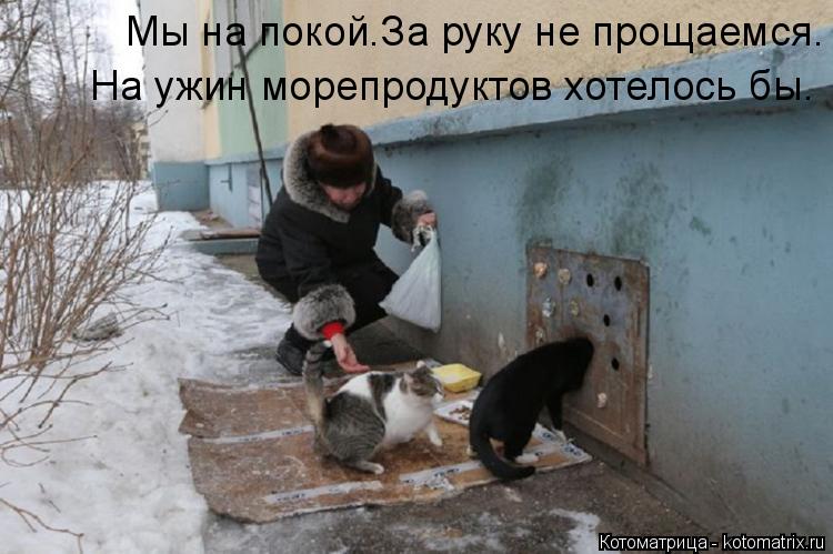 Котоматрица: Мы на покой.За руку не прощаемся. На ужин морепродуктов хотелось бы.