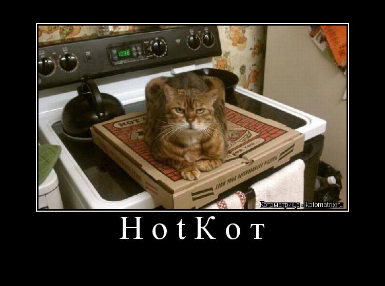 Котоматрица: HotКот 