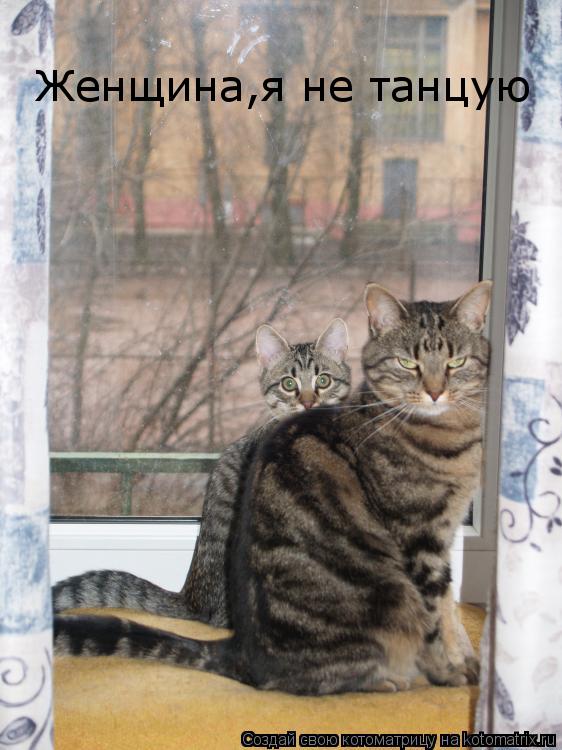 Котоматрица: Женщина,я не танцую