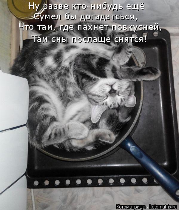 Котоматрица: Ну разве кто-нибудь ещё Сумел бы догадатсься, Что там, где пахнет повкусней, Там сны послаще снятся!
