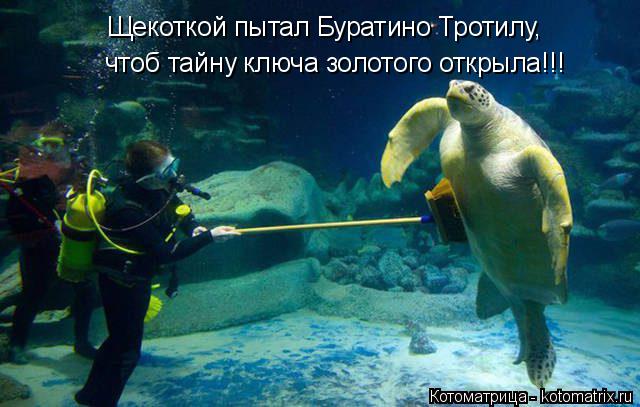 Котоматрица: чтоб тайну ключа золотого открыла!!! Щекоткой пытал Буратино Тротилу,