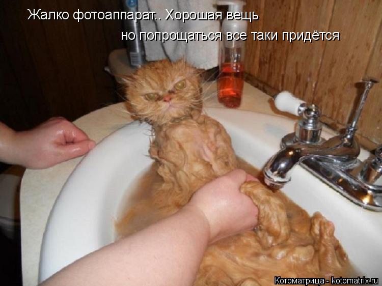 Котоматрица: Жалко фотоаппарат.. Хорошая вещь но попрощаться все таки придётся