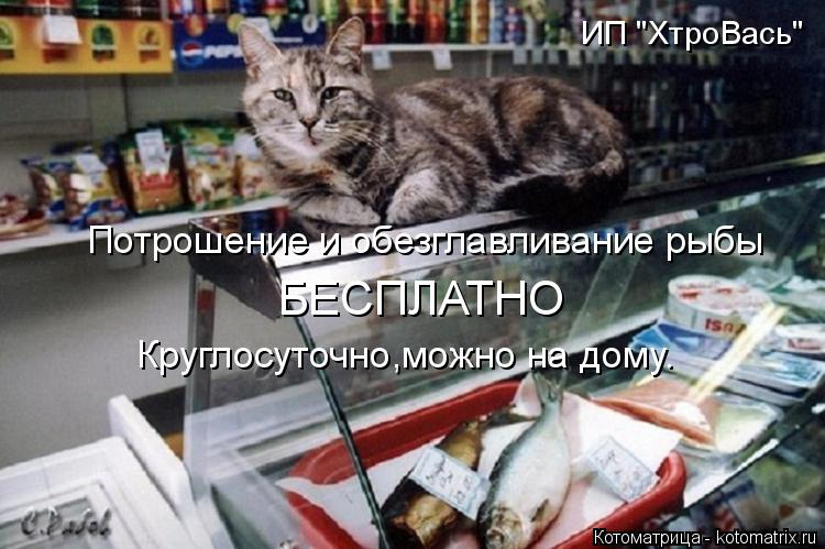 Котоматрица: Потрошение и обезглавливание рыбы Круглосуточно,можно на дому. БЕСПЛАТНО ИП "ХтроВась"