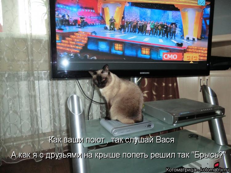 Котоматрица: Как ваши поют , так слушай Вася А как я с друзьями на крыше попеть решил так "Брысь?"