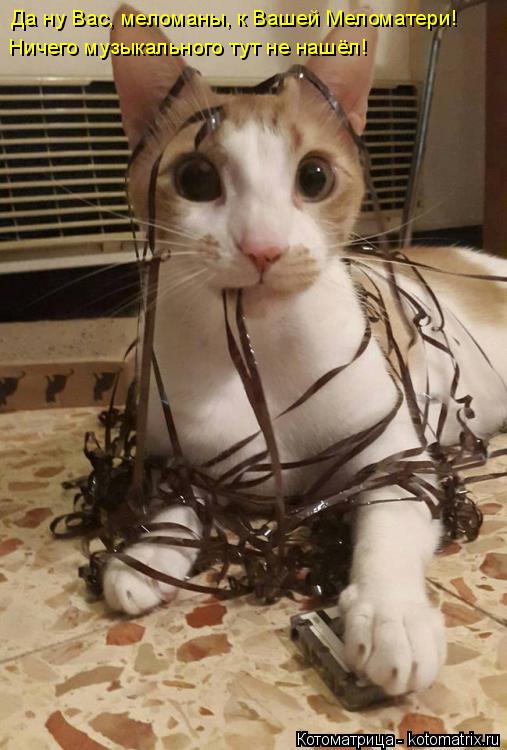 Котоматрица: Да ну Вас, меломаны, к Вашей Меломатери! Ничего музыкального тут не нашёл!