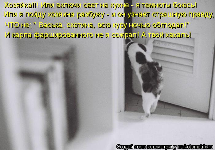 Котоматрица: Хозяйка!!! Или включи свет на кухне - я темноты боюсь! Или я пойду хозяина разбужу - и он узнает страшную правду, ЧТО не: " Васька, скотина, всю к