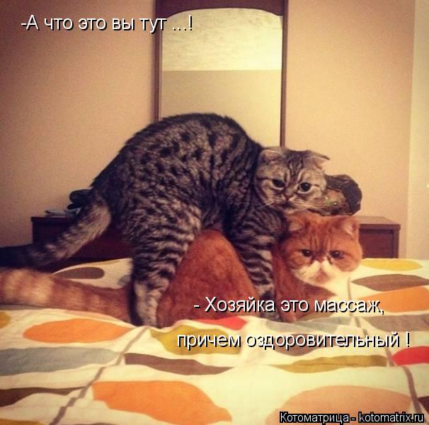 Котоматрица: -А что это вы тут ...! - Хозяйка это массаж, причем оздоровительный !