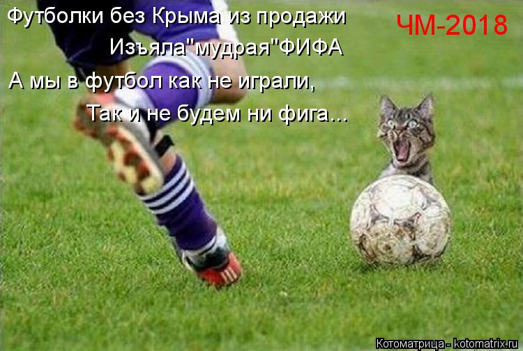 Котоматрица: Футболки без Крыма из продажи Изъяла''мудрая"ФИФА А мы в футбол как не играли, Так и не будем ни фига... ЧМ-2018