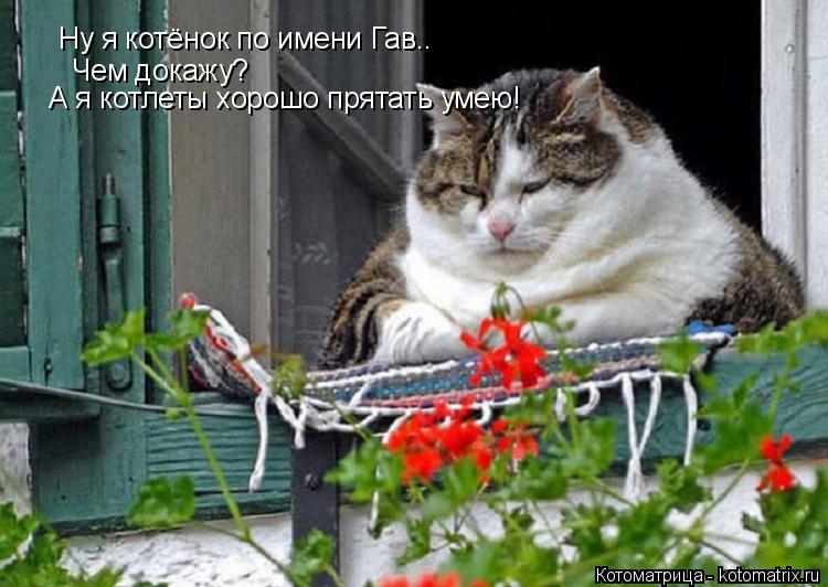 Котоматрица: Ну я котёнок по имени Гав.. Чем докажу?  А я котлеты хорошо прятать умею!