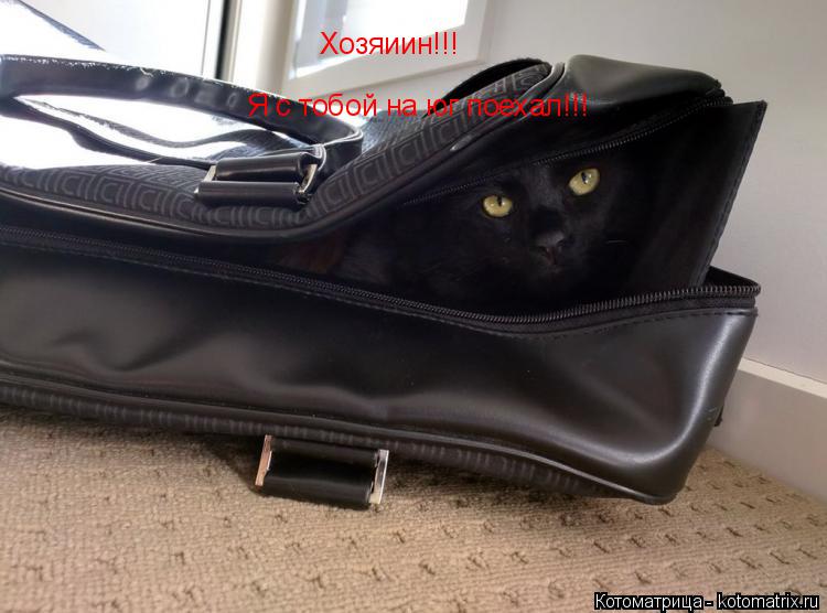 Котоматрица: Хозяиин!!! Я с тобой на юг поехал!!!
