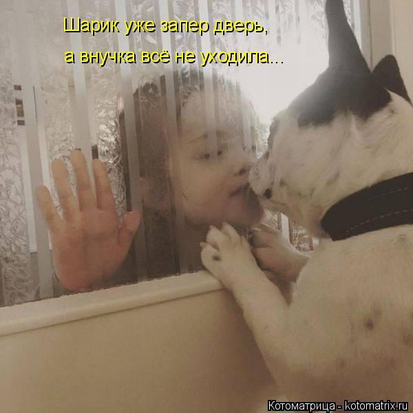 Котоматрица: Шарик уже запер дверь, а внучка всё не уходила...