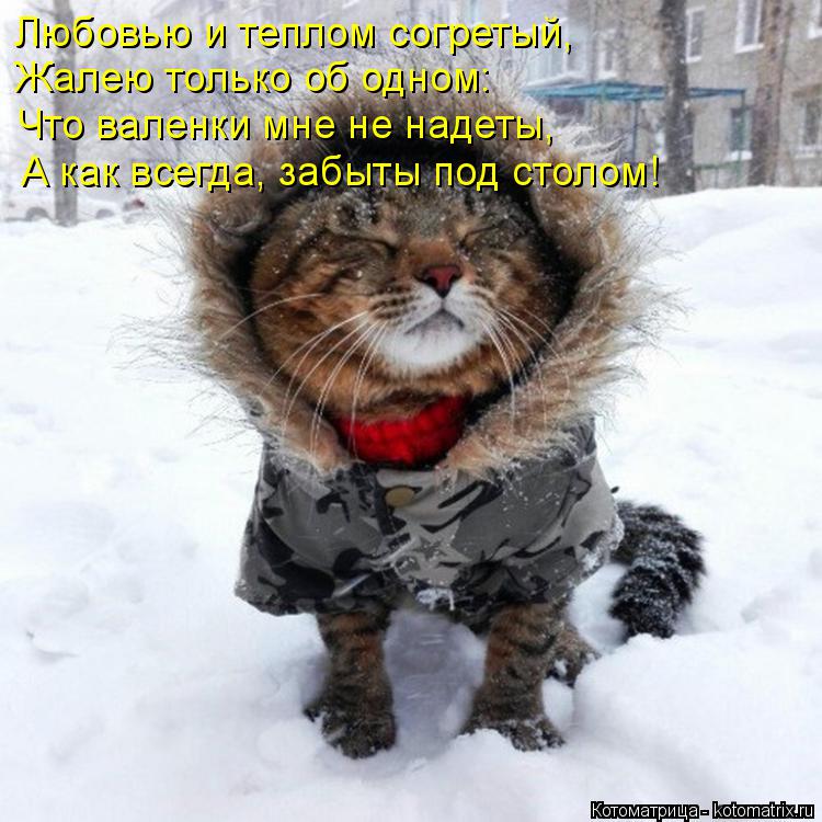 Котоматрица: Любовью и теплом согретый, Жалею только об одном: Что валенки мне не надеты, А как всегда, забыты под столом!