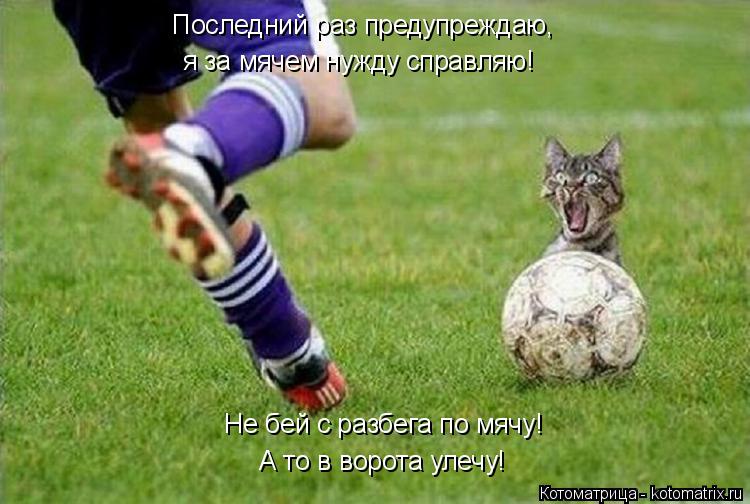 Котоматрица: Не бей с разбега по мячу! А то в ворота улечу! Последний раз предупреждаю, я за мячем нужду справляю!