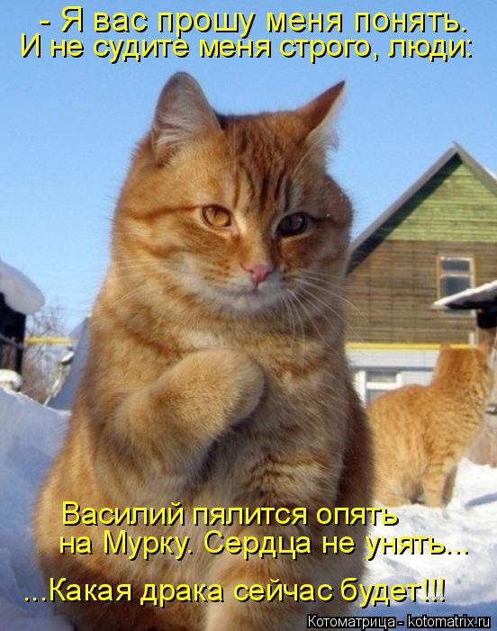 - Я вас прошу меня понять. И не судите меня строго, люди: Василий пялится опять на Мурку. Сердца не ... Котоматрица: - Я вас прошу меня понять. И не судите меня строго, люди: Василий пялится опять на Мурку. Сердца не унять... ...Какая драка сейчас будет!!!