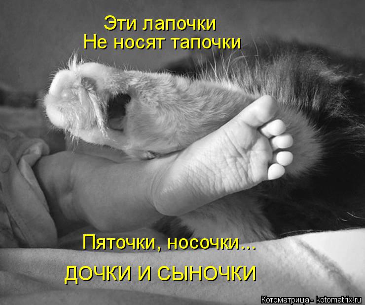 Котоматрица: Эти лапочки  Не носят тапочки Пяточки, носочки... ДОЧКИ И СЫНОЧКИ