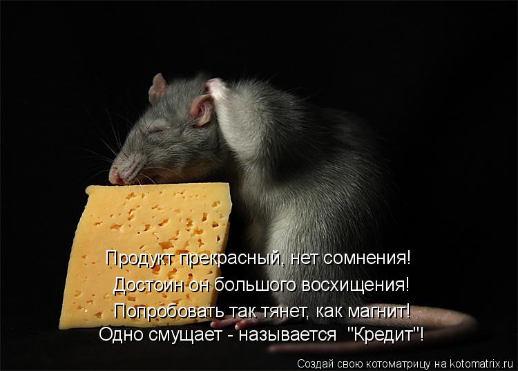 Котоматрица: Достоин он большого восхищения! Попробовать так тянет, как магнит! Одно смущает - называется  "Кредит"! Продукт прекрасный, нет сомнения!