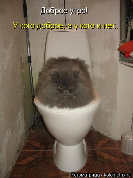Котоматрица: Доброе утро! У кого доброе, а у кого и нет...