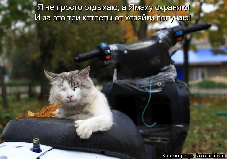 Котоматрица: Я не просто отдыхаю, а Ямаху охраняю! И за это три котлеты от хозяйки получаю!