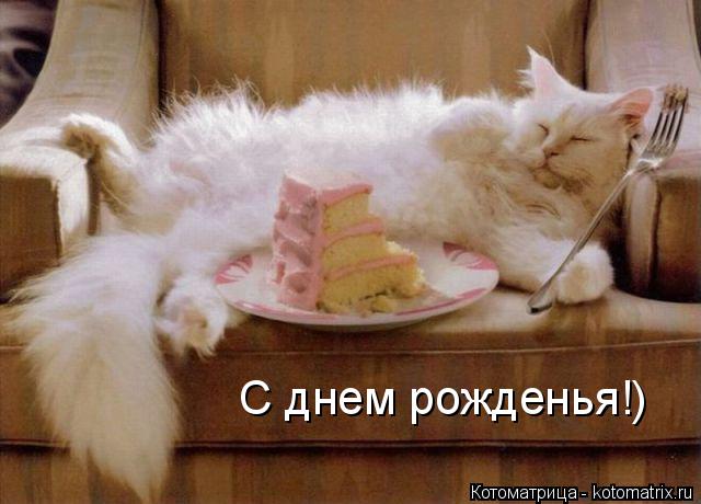 Котоматрица: С днем рожденья!)