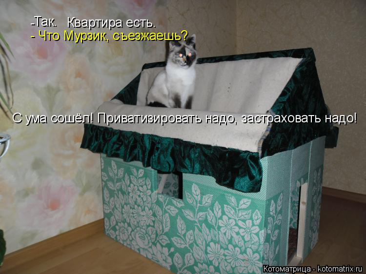 Котоматрица: Так.  -  Квартира есть. - Что Мурзик, съезжаешь? С ума сошёл! Приватизировать надо, застраховать надо!