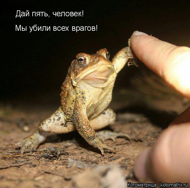 Котоматрица: Дай пять, человек! Мы убили всех врагов!