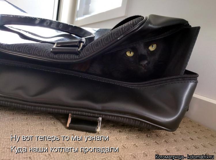 Котоматрица: Ну вот теперь то мы узнали Куда наши котлеты пропадали