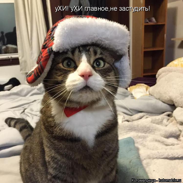 Котоматрица: уХИ! уХИ главное,не застудить!