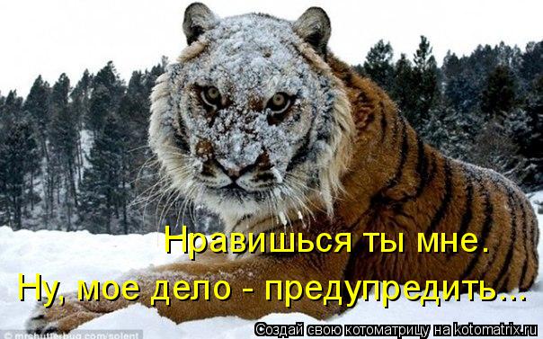 Котоматрица: Нравишься ты мне. Ну, мое дело - предупредить...