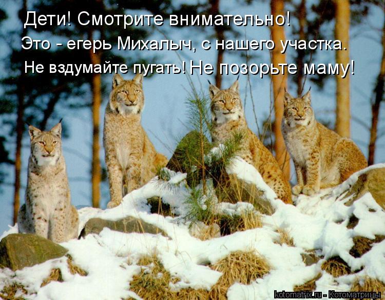 Котоматрица: Дети! Смотрите внимательно! Это - егерь Михалыч, с нашего участка. Не вздумайте пугать!  Не позорьте маму!