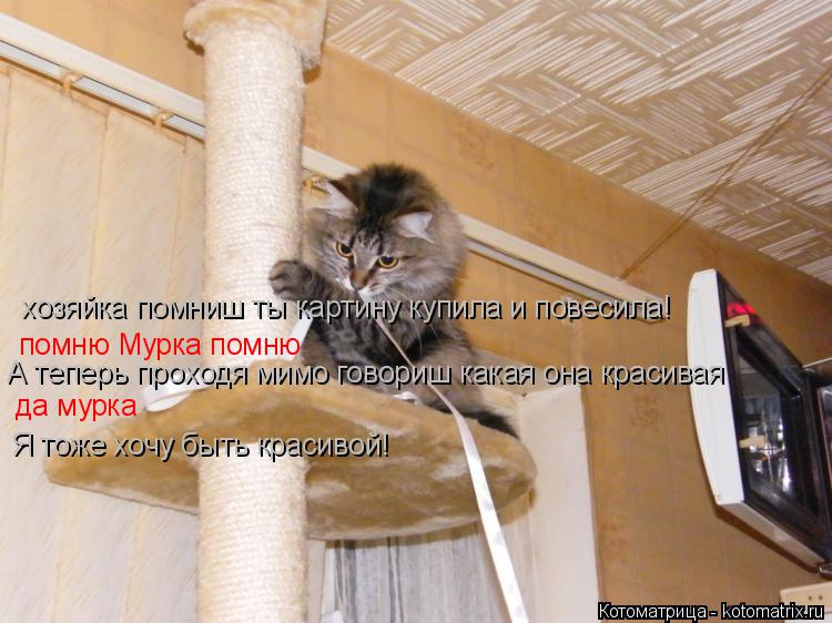 Котоматрица: хозяйка помниш ты картину купила и повесила! помню Мурка помню А теперь проходя мимо говориш какая она красивая да мурка Я тоже хочу быть кр