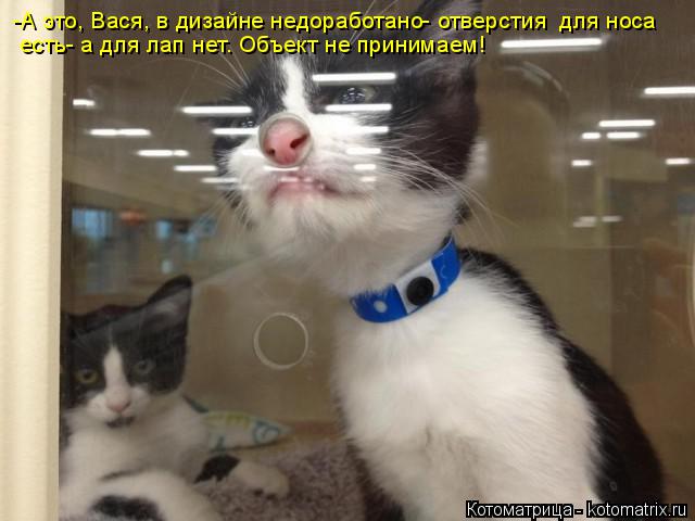Котоматрица: -А это, Вася, в дизайне недоработано- отверстия  для носа  есть- а для лап нет. Объект не принимаем!