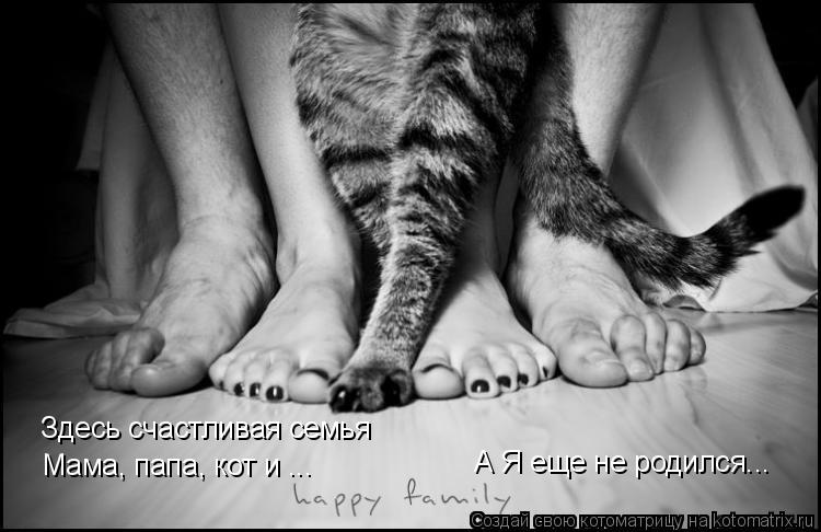 Котоматрица: Здесь счастливая семья Мама, папа, кот и ... А Я еще не родился...