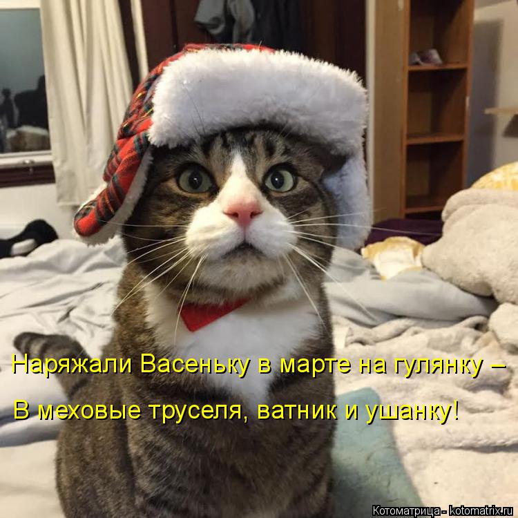 Наряжали Васеньку в марте на гулянку – В меховые труселя, ватник и ушанку!... Котоматрица: Наряжали Васеньку в марте на гулянку – В меховые труселя, ватник и ушанку!