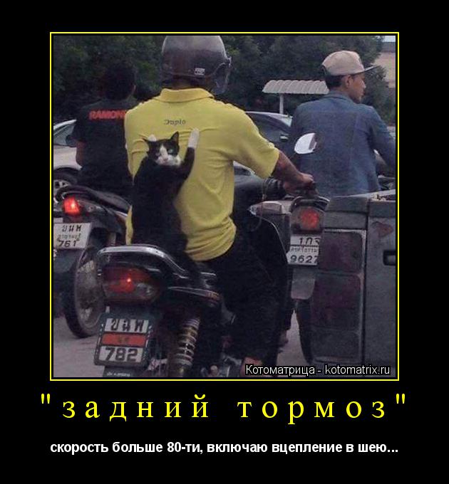 "задний тормоз" скорость больше 80-ти, включаю вцепление в шею...... Котоматрица: "задний тормоз" скорость больше 80-ти, включаю вцепление в шею...